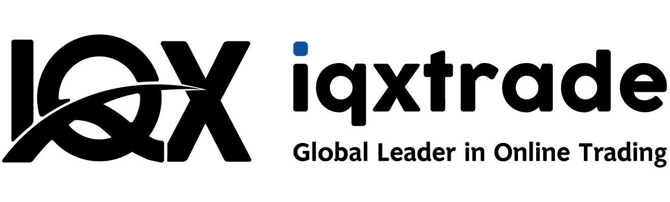 logo IQX Transparent_full logo black